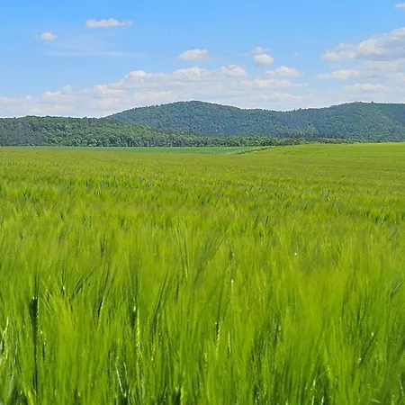 아파트 Beti 코르바흐